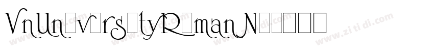 VnUniversityRoman No字体转换